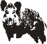 WB032 - Wildschwein