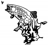 WB059 - Fisch