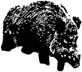 WB060 - Wildschwein